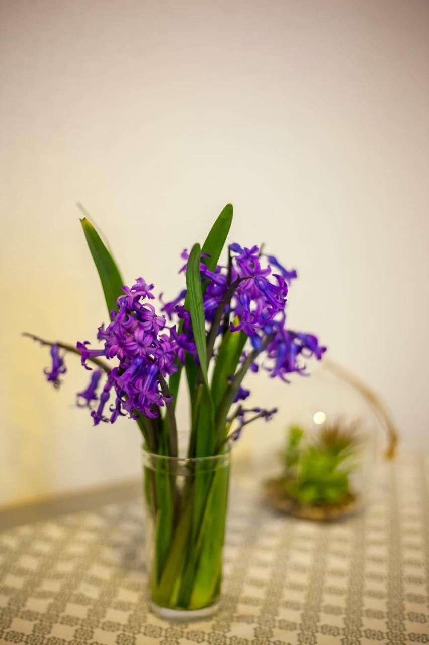 Artemida Apartment Tbs Tbiliszi Kültér fotó